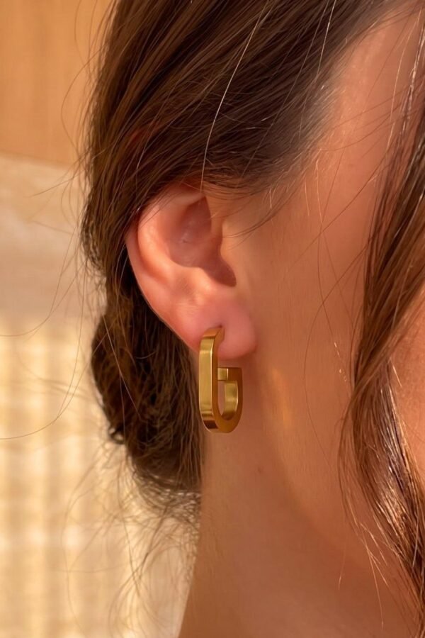 Sculpted Link Hoops